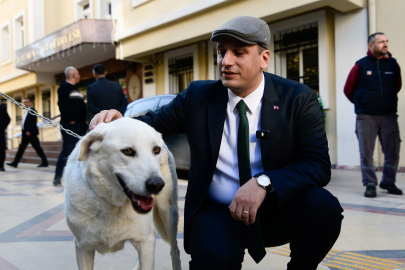 Bornova'da Hayvan Hakları savunucularına güçlü destek