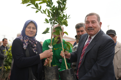 Muğla Milas'ta üreticilere fidan desteği sağlandı